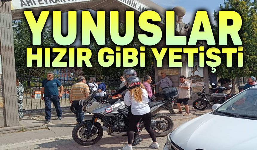 Afyon da Yunuslar hızır gibi yetişti Afyon Haber Afyon haberleri