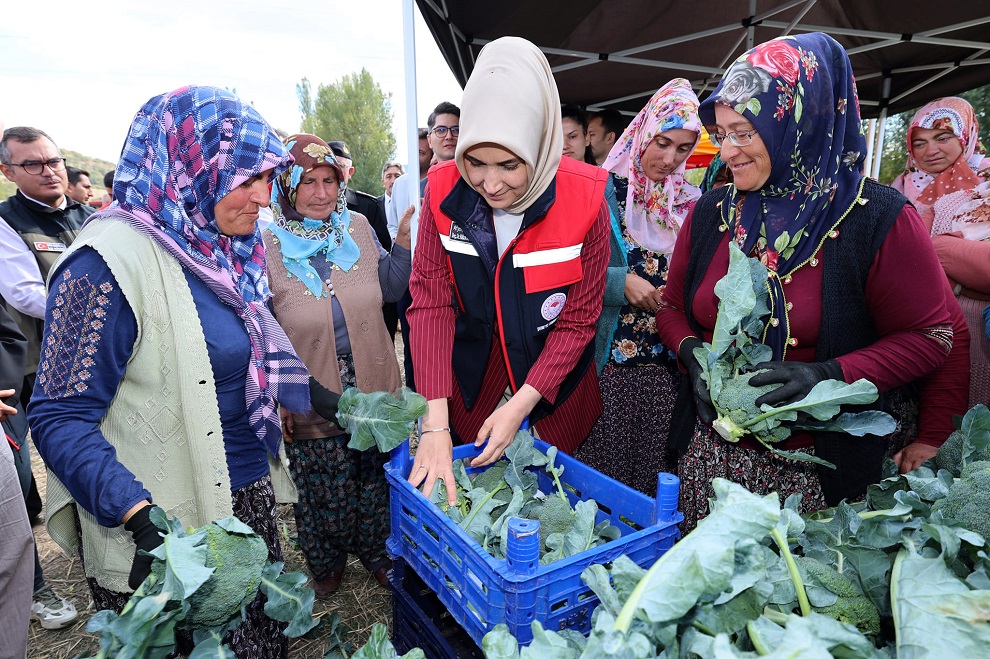 Brokoli Afyon