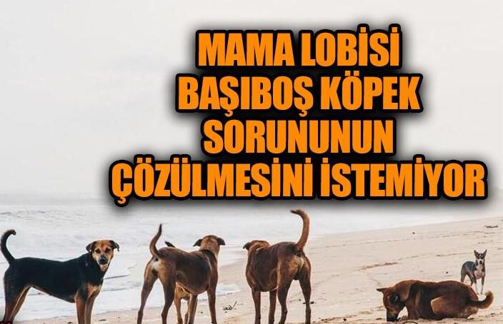 Mama Lobisi 3