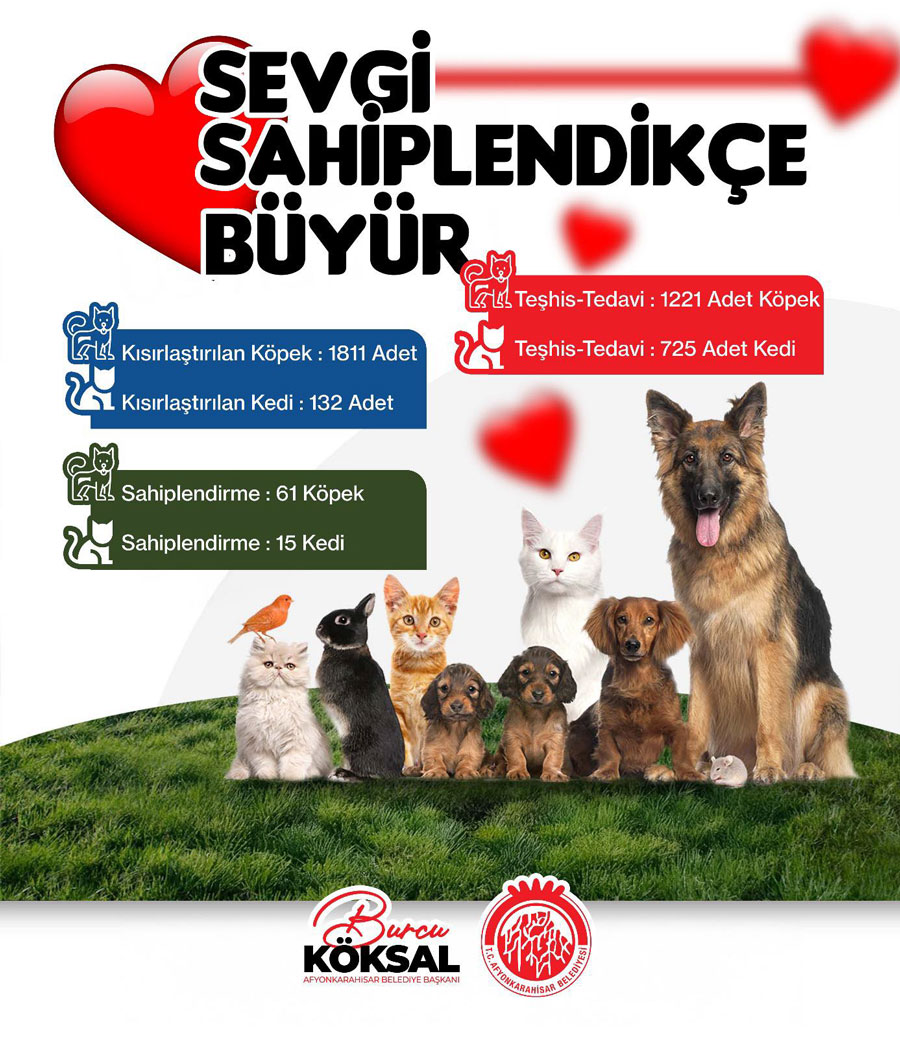 Hayvansever Burcu Koksal