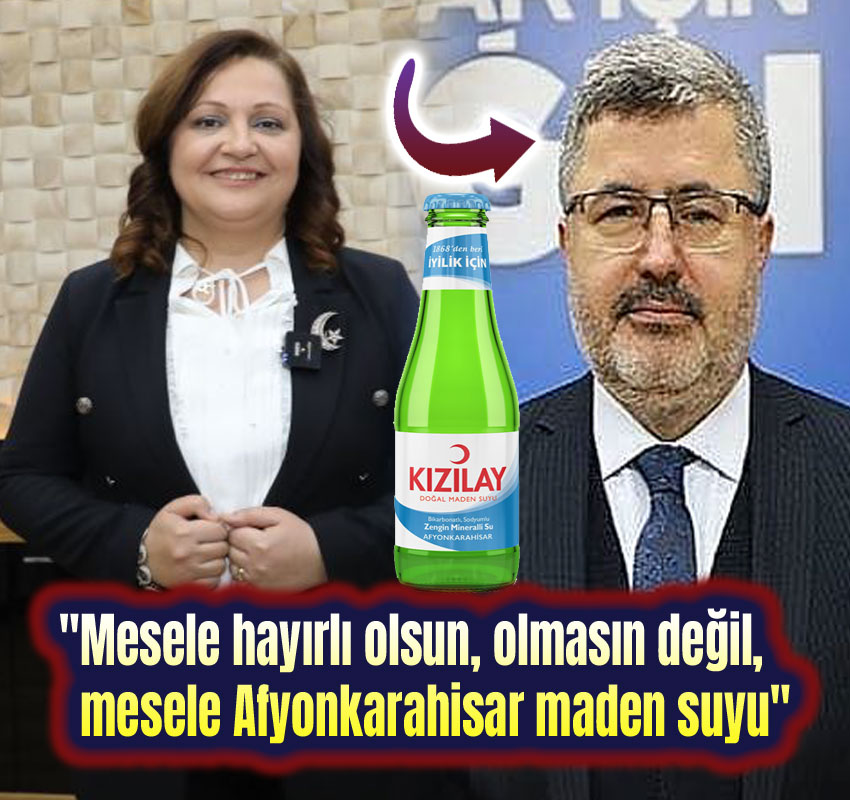 Milletvekili Ali Ozkaya Yen