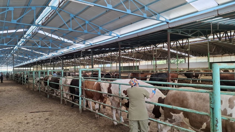 535111Ff Ea2E 4Cac A60A 407023189432