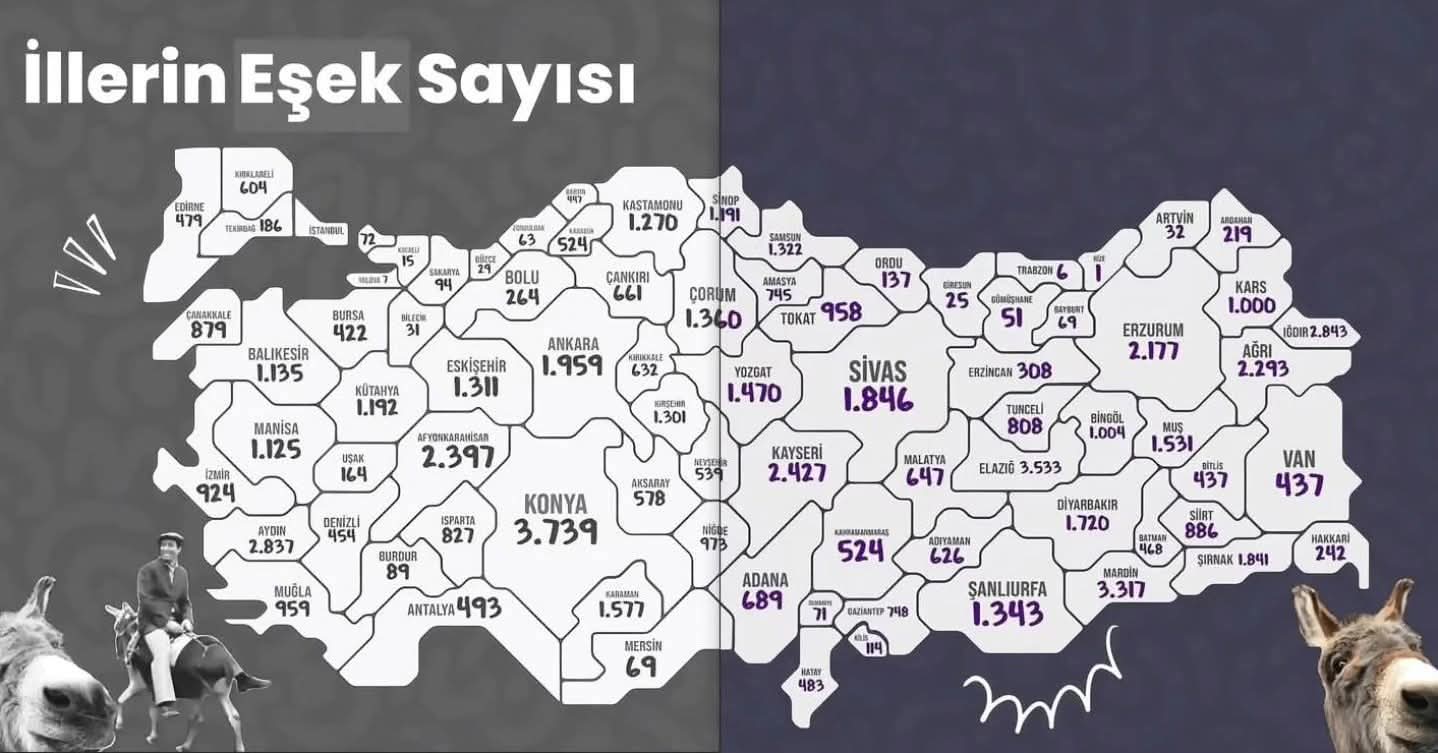 Esek Sayılari Turkiye