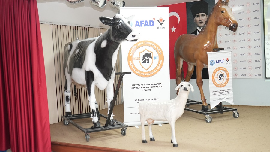 02026778 7E3F 45Aa 80Fe E491E33E8C19