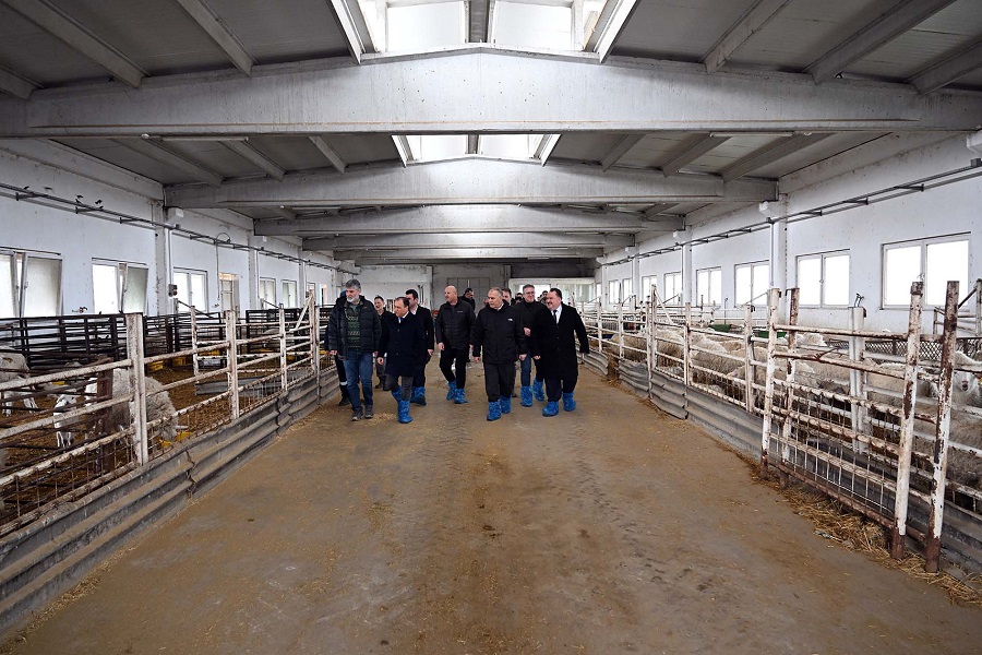 Afyon Kocatepe Hayvancilik (3)