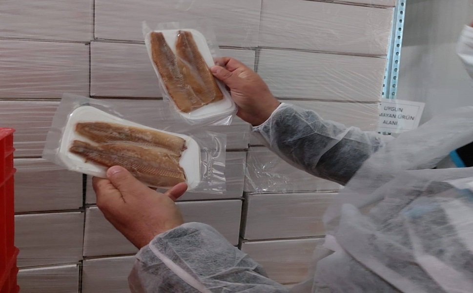 Su ürünleri üretimi yapılan tesislerde denetim