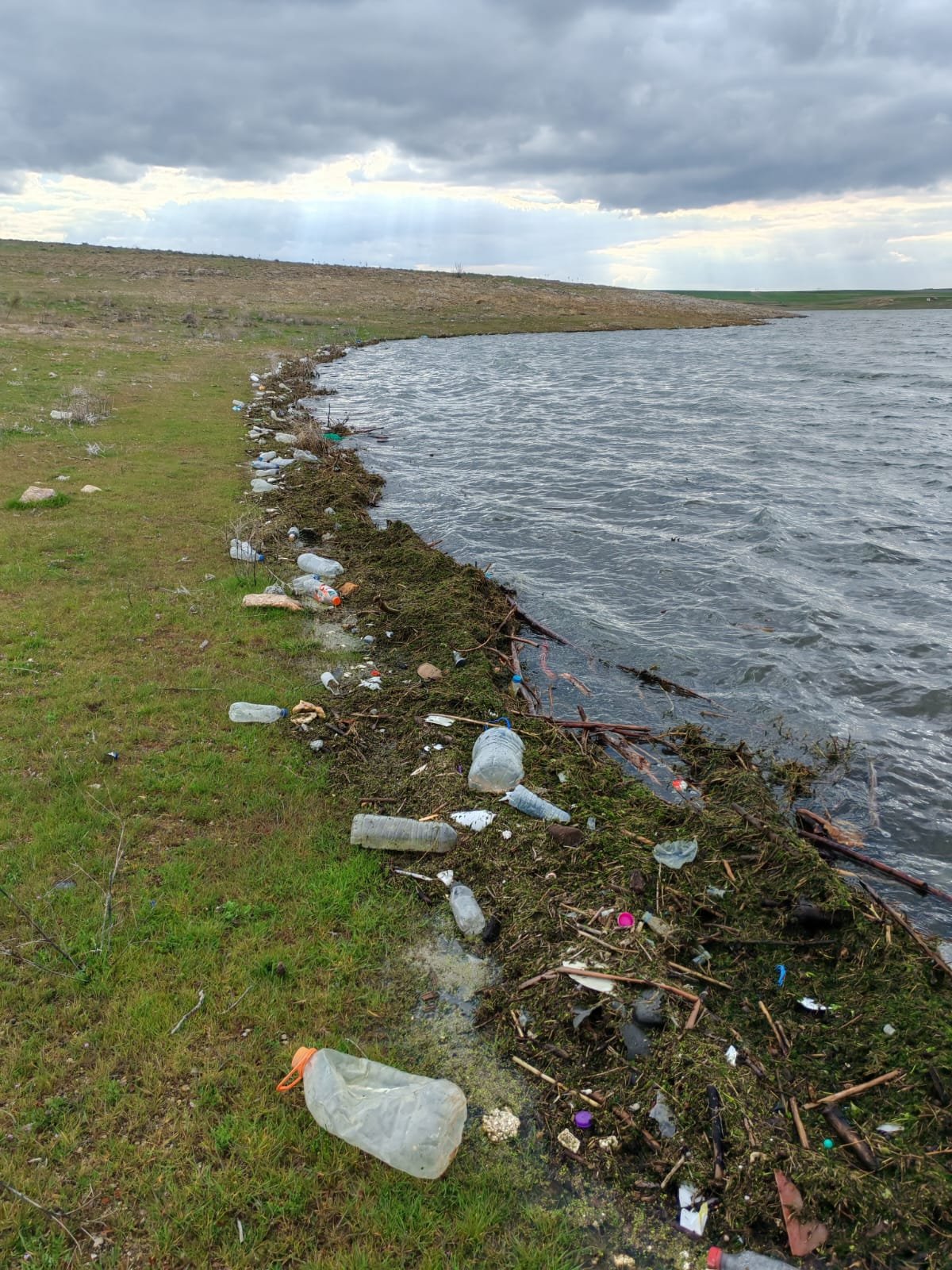 67D2E7Ba E954 4329 Ad23 45Cca8C0Ea03