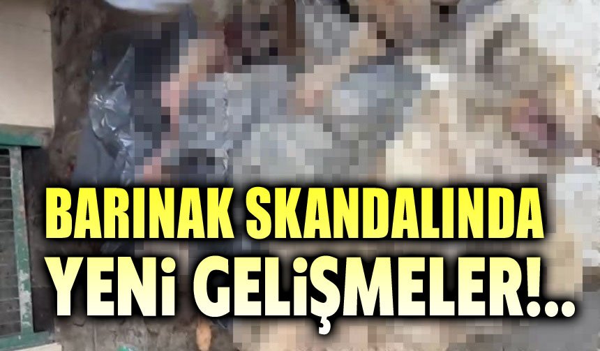 Barınak skandalında yeni gelişmeler!..