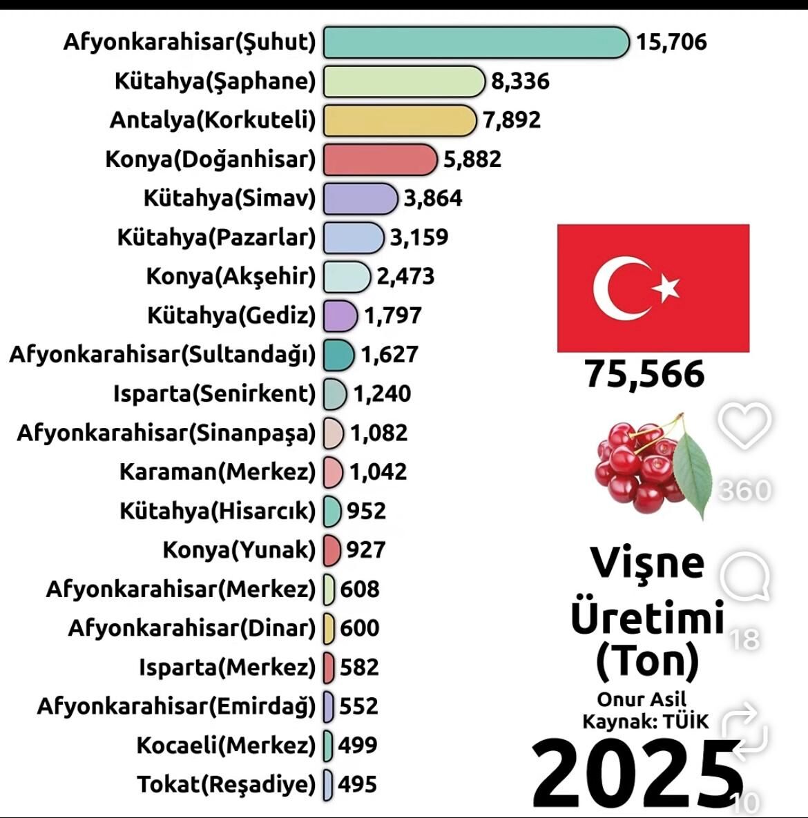 Vişne 2