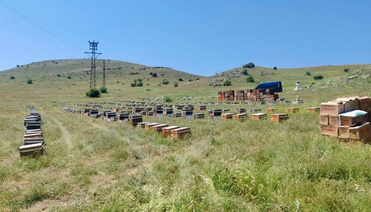 Afyon'da Arıcılık Faaliyetlerine Sıkı Takip3