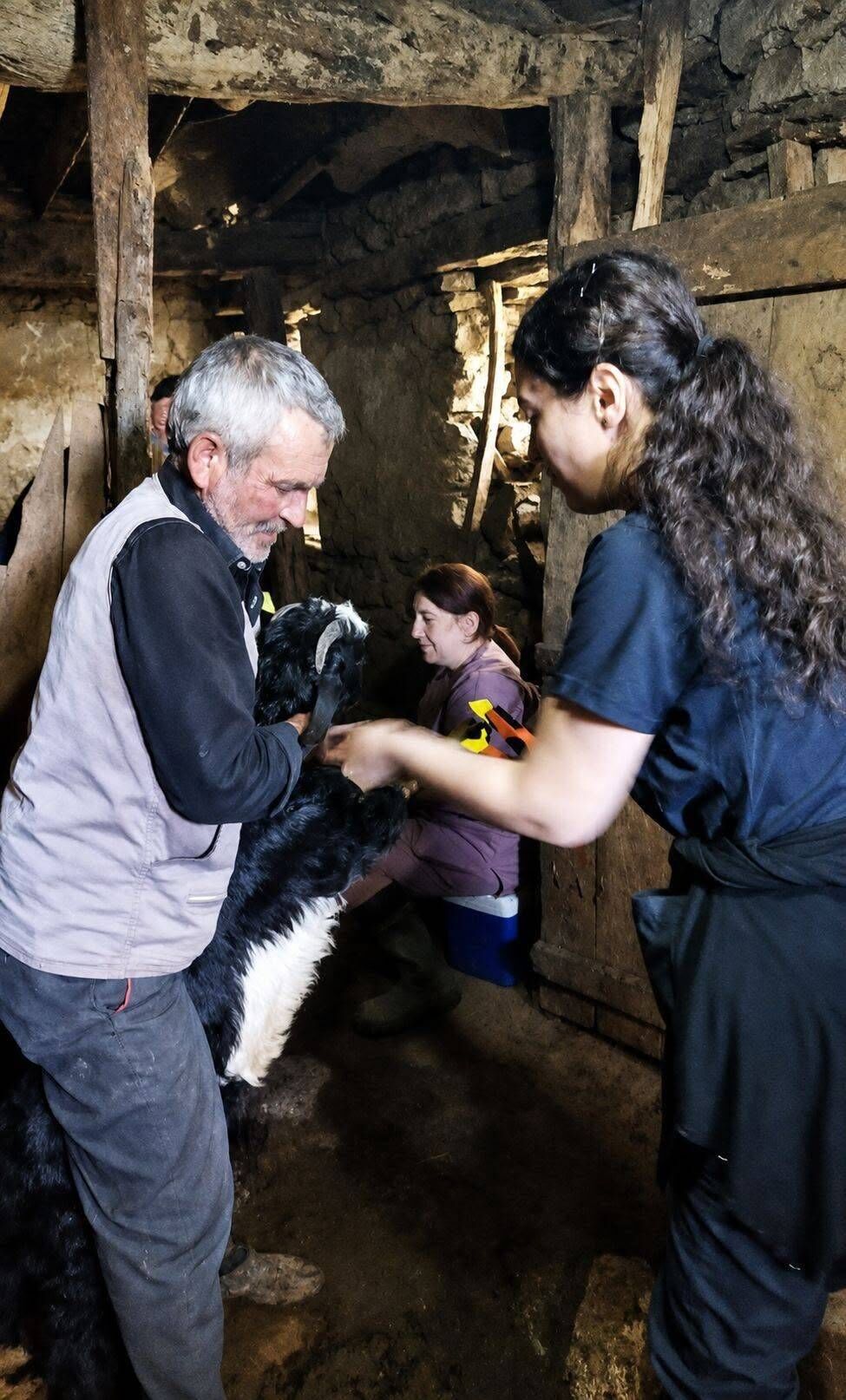 Afyonkarahisarda Hayvan Sagligi Ve Kayitlilik Seferberligi 2 6A38Fcf2425Cc
