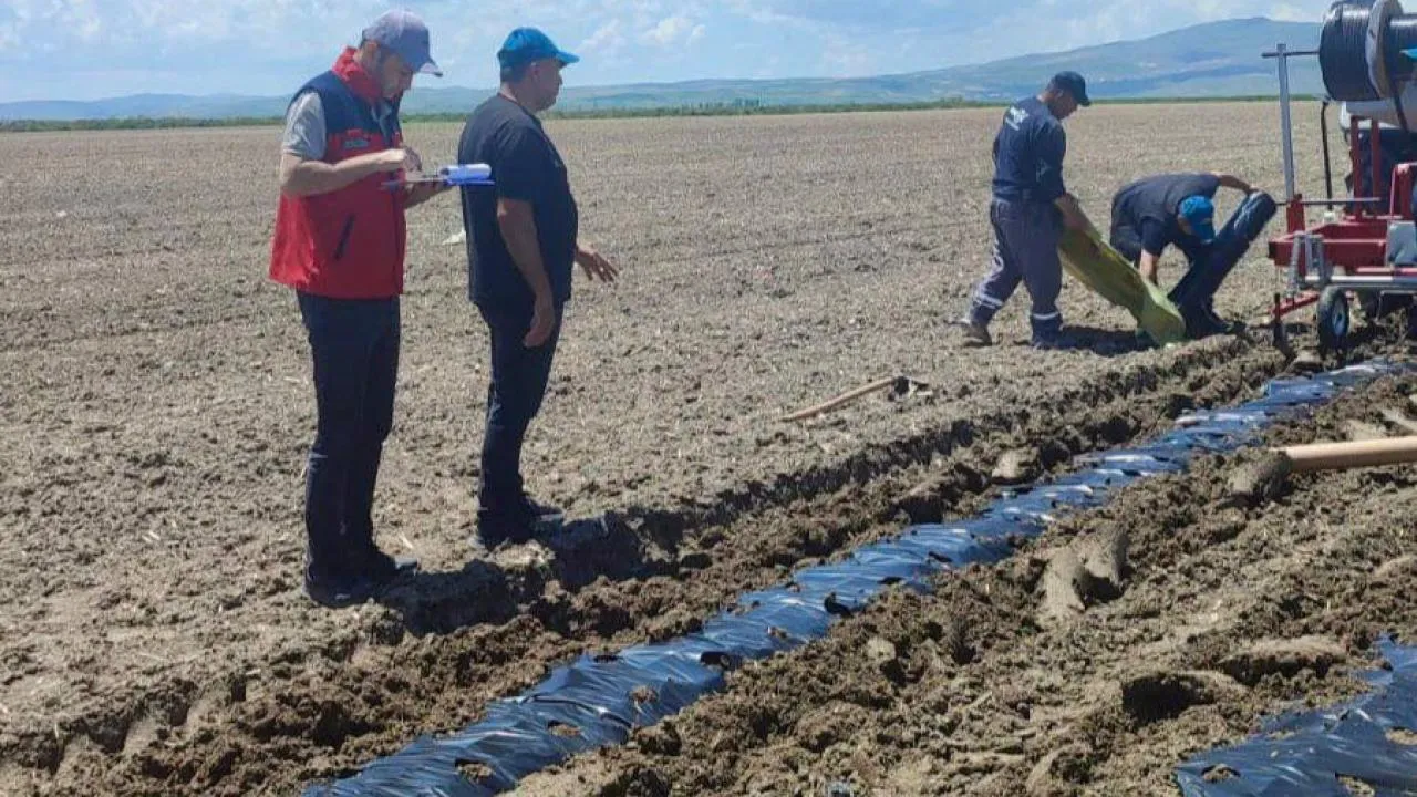 Afyon'un Tarımsal Çeşitliliği Artıyor 3