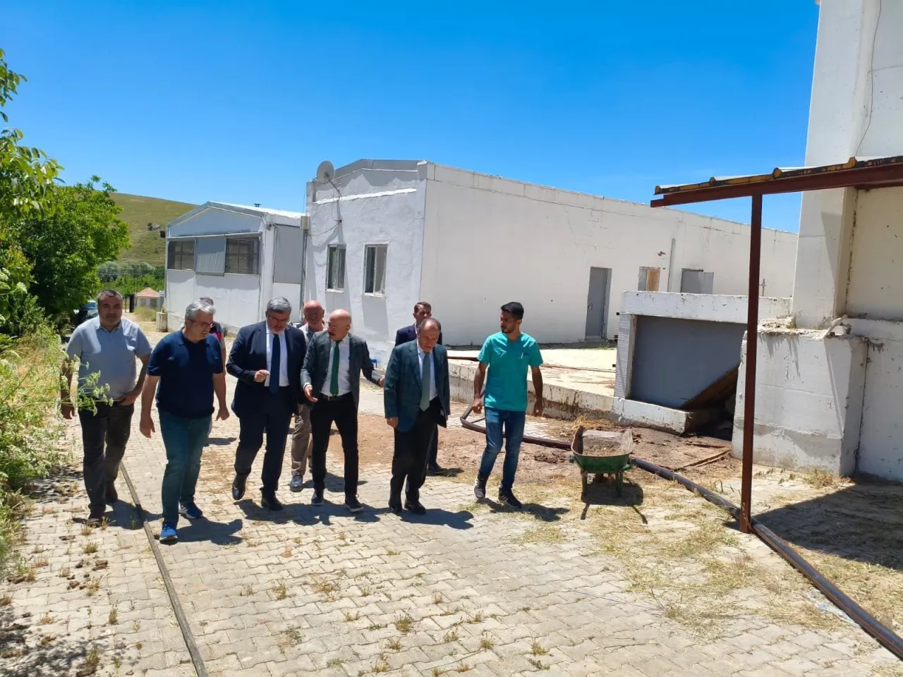 Boğa Sperma Üretim Merkezi Afyon’a Geliyor 4