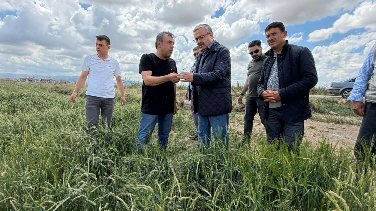 Milletvekili Yurdunuseven Dolunun Vurduğu Tarım Alanlarını İnceledi2