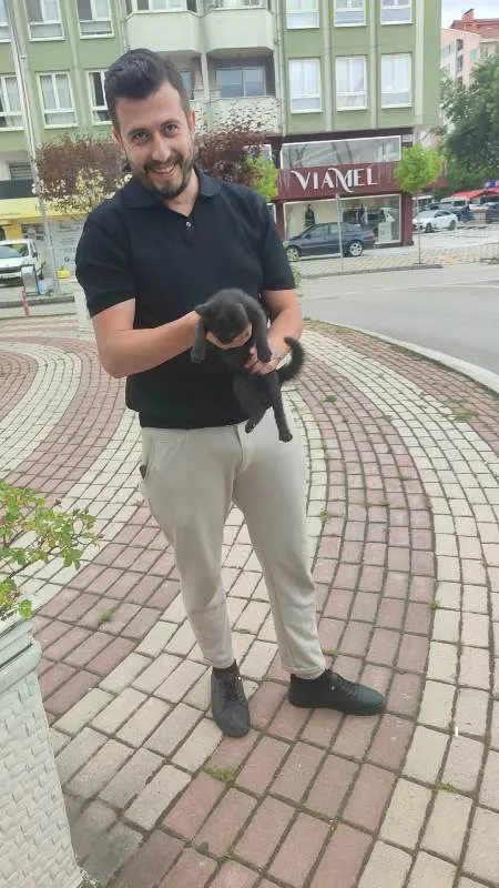 Motor Kaputuna Sıkışan Minik Kedi Kurtarıldı 6