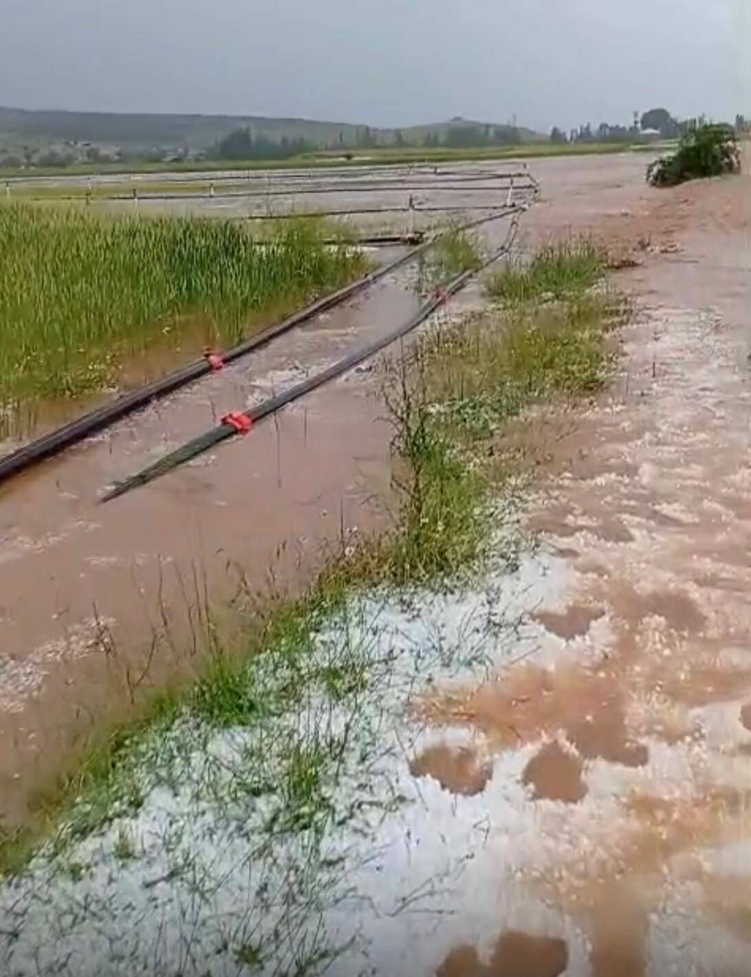 Sağanak 2