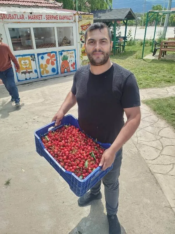 Sultandağı’nda Kiraz Sezonu Açıldı 4