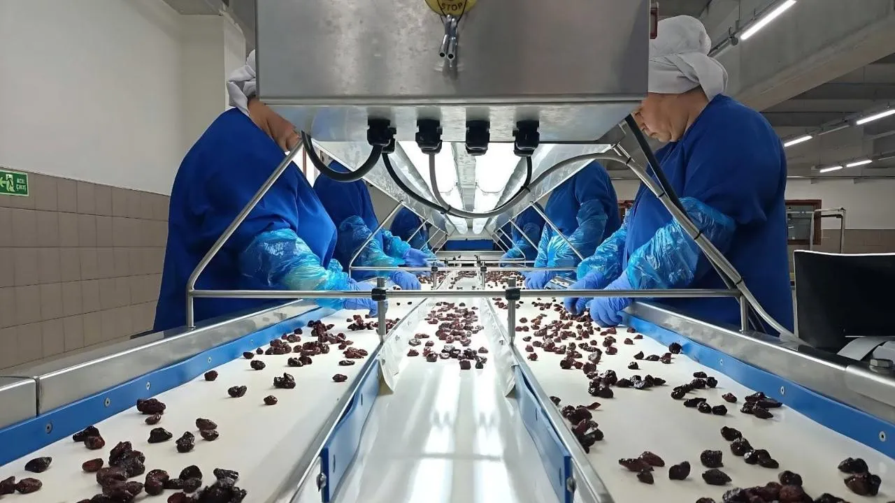 Tkdk Destekli Meyve Tesisi Açıldı 1
