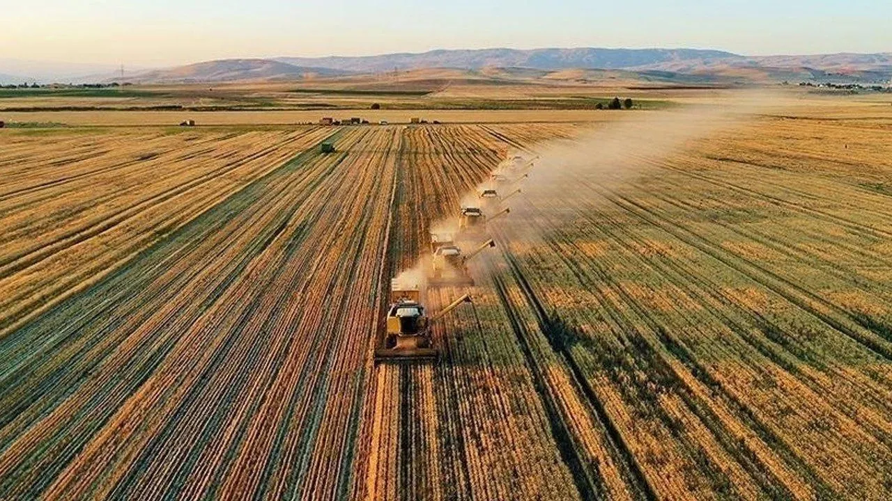 Turkiyenin 29 Yillik Koklu Tarim Devi Iflas Etti Kepenk Indirdi