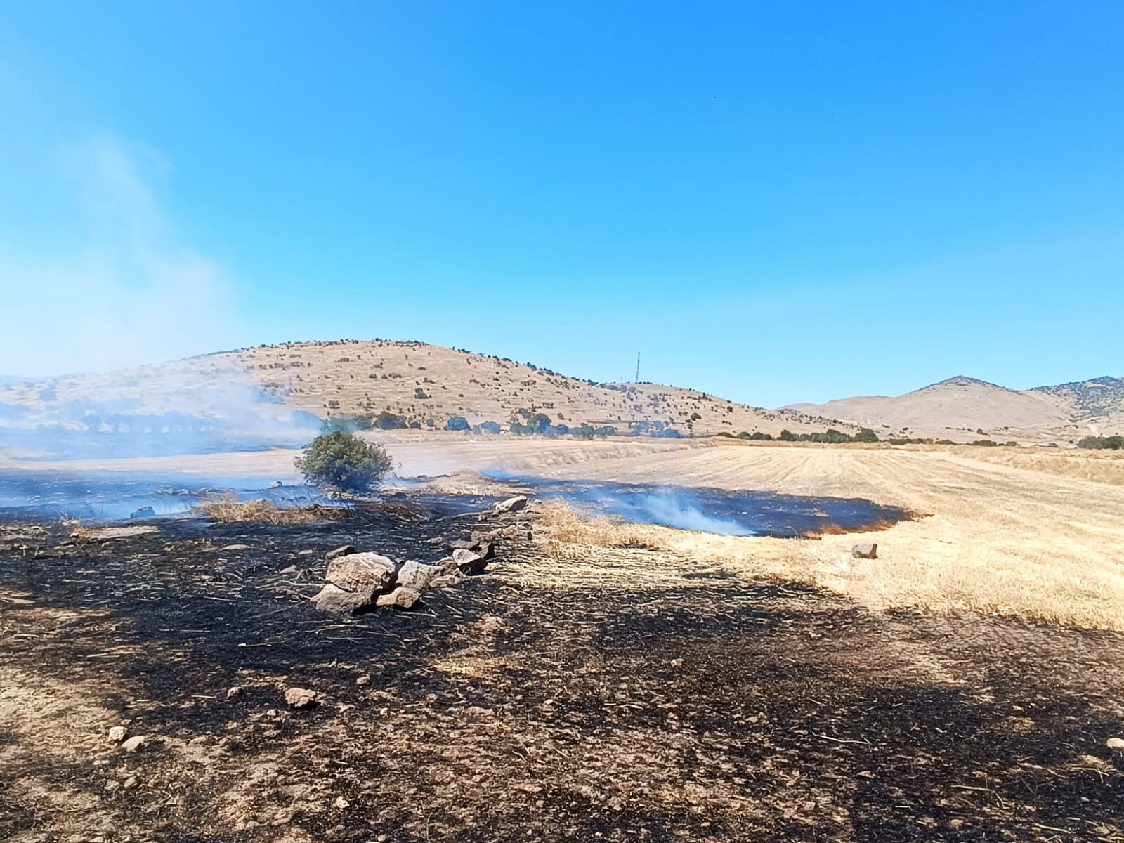 200 Dekarlik Tarim Arazi̇ Zarar Gördü (2)