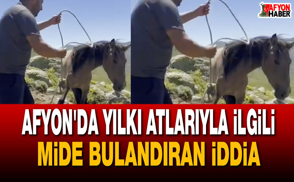 Afyon'da Yılkı Atlarıyla İlgili Mide Bulandıran İddia