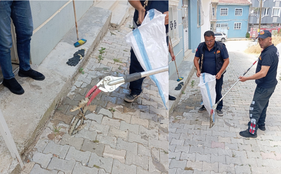 Sandıklı’da Yılan Paniği (1)