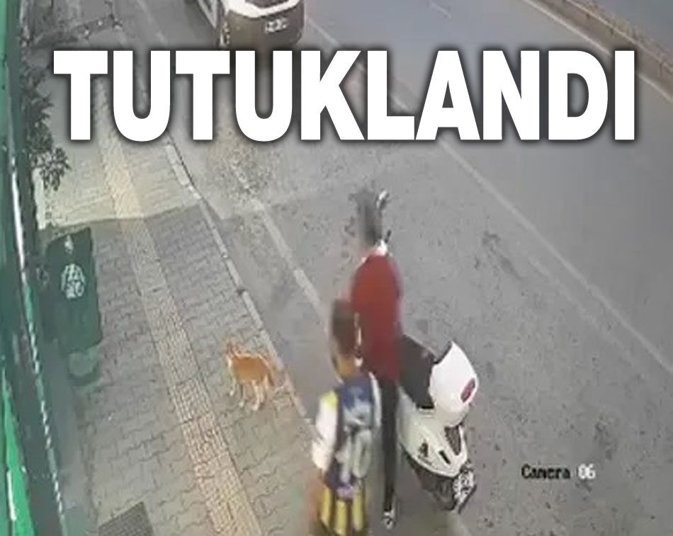 Sokak Kedisine Tekma