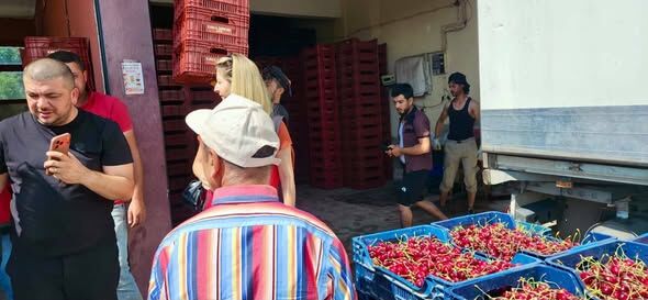 Sultandaği'nda Meyve Alim Noktalari Deneti̇m Altinda3
