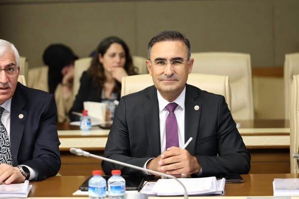 Hasan Arslan1