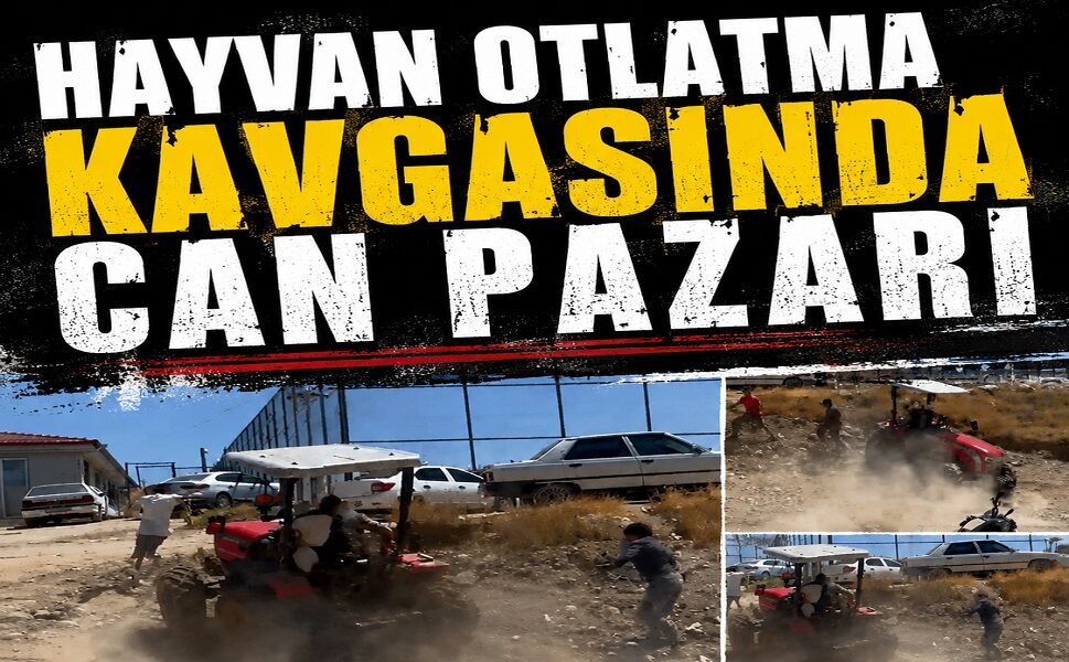 Hayvan otlatma kavgasında can pazarı