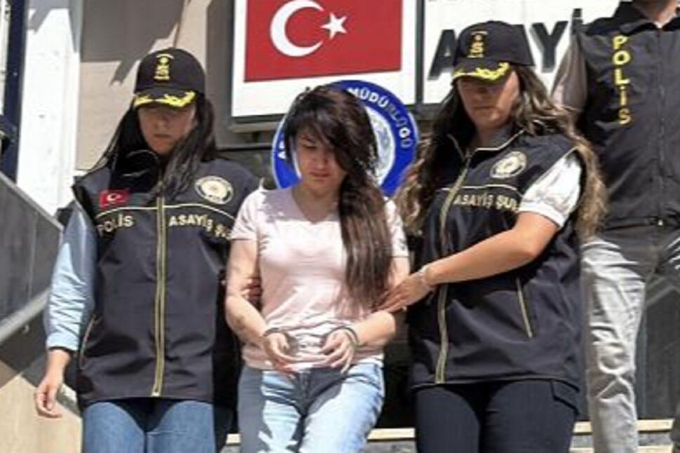 Ponzi Mine Kimdir