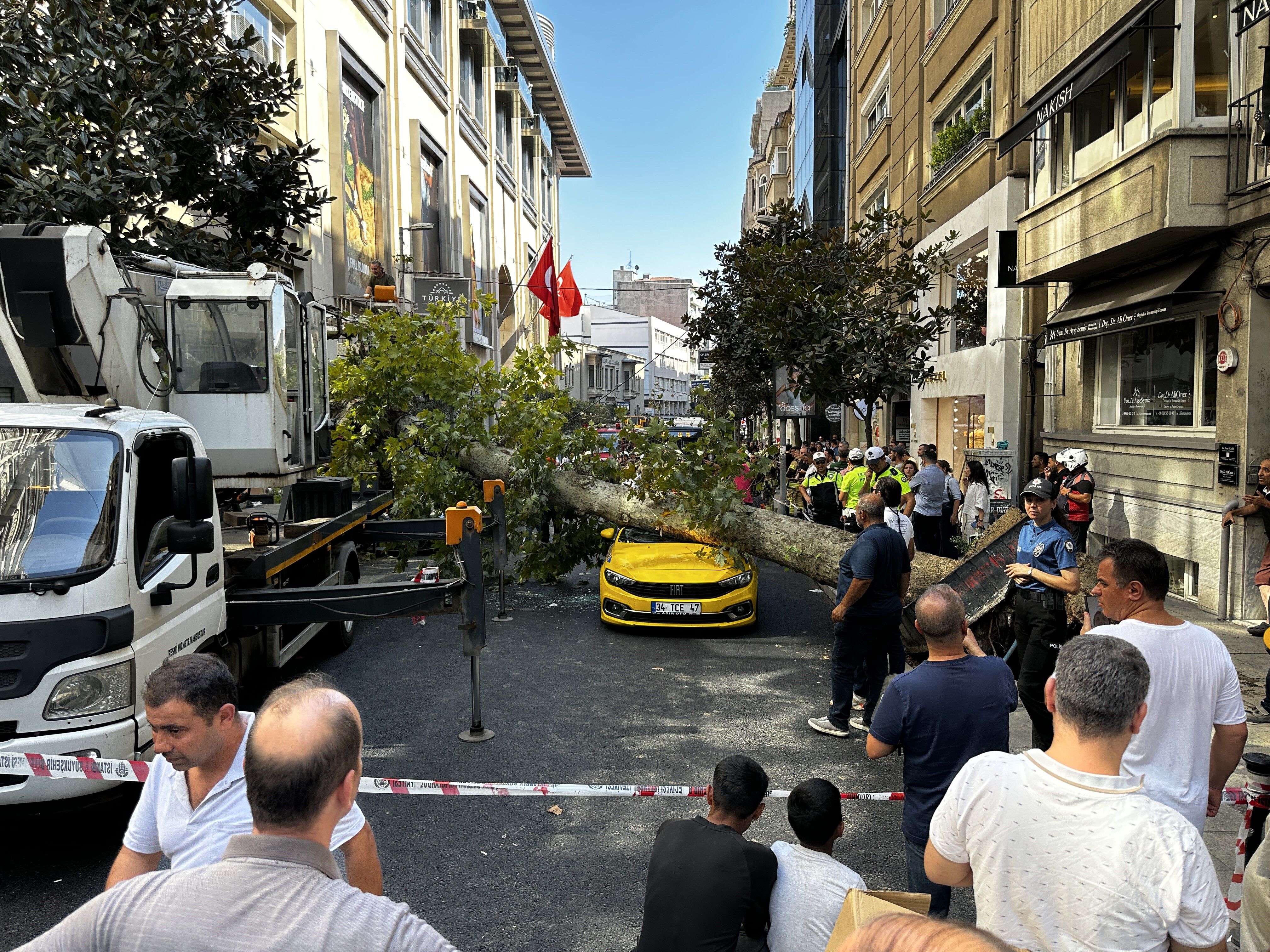 Şişli'de Araçların Üzerine Ağaç Devrildi-1