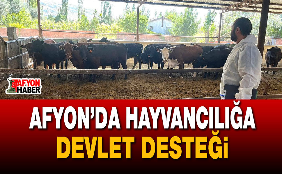 Afyon’da hayvancılığa devlet desteği