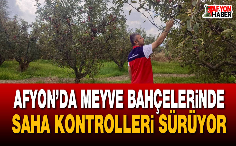 Afyon’da meyve bahçelerinde saha kontrolleri sürüyor