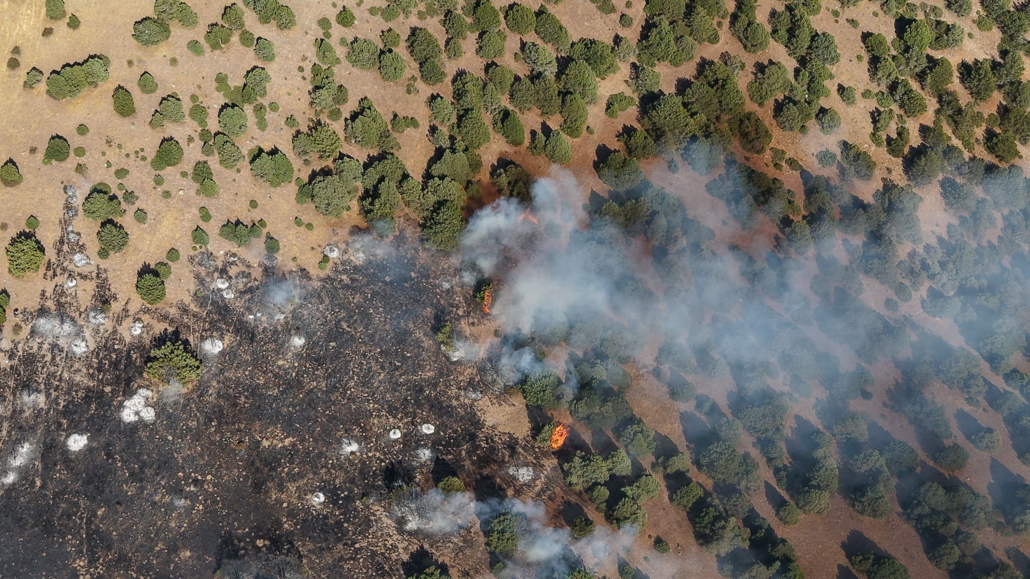 Afyon'da Otluk Alanda Başlayan Yangın Ormana Sıçradı (2)