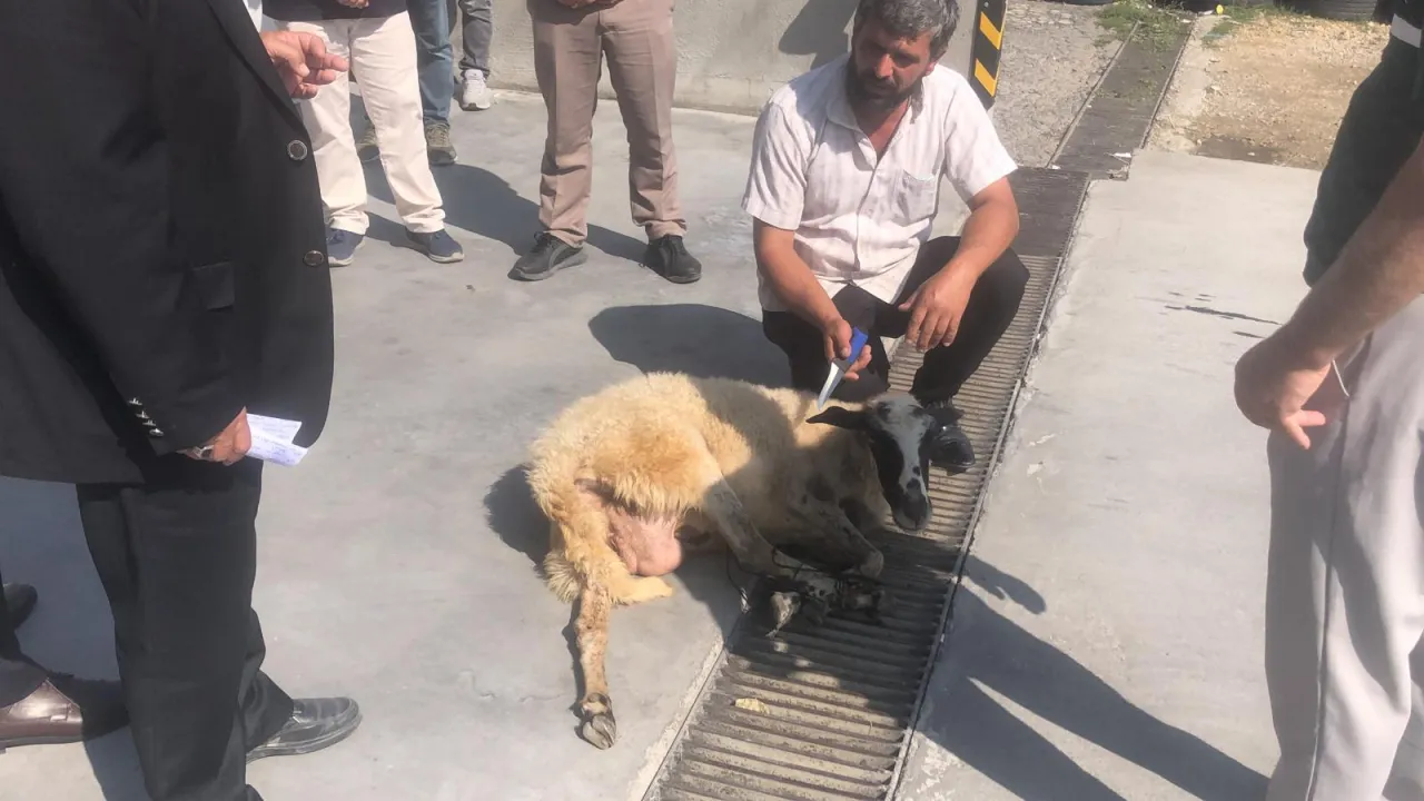 Karakol İş Kıyafetleri Ve Güvenliği Ekipmanları Görkemli Bir Törenle Hizmete Girdiiiifdai