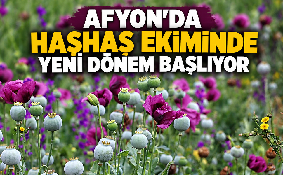 Afyon’da Haşhaş Ekiminde Yeni Dönem Başlıyor