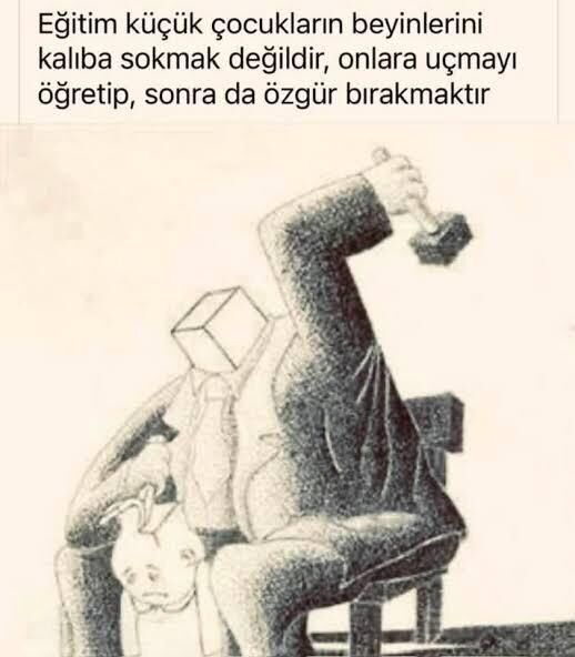 Egitim Ogretim 3