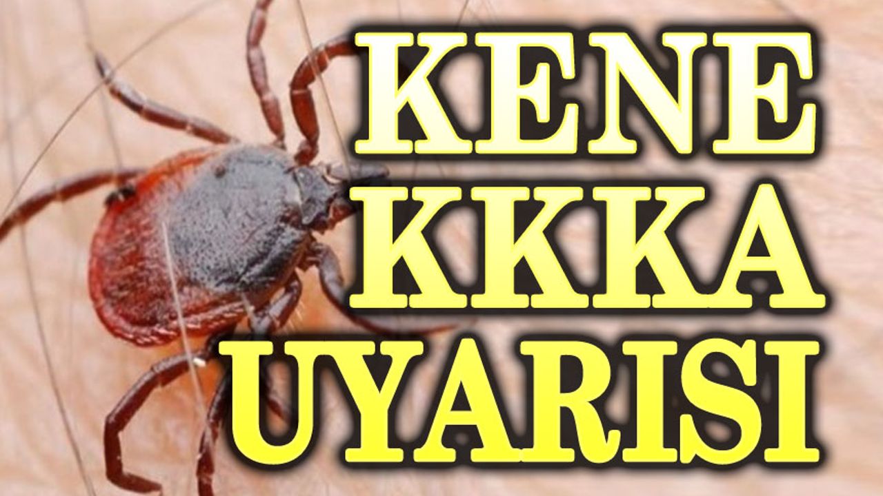 Kene uyarısı: KKKA'ya karşı tedbirli olun!..