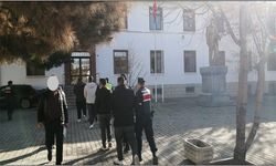 Eskişehir'de Çalıntı Hayvan Operasyonu