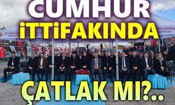 Cumhur İttifakında çatlak mı?