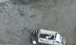 Afyonkarahisar'da Bahisli Köpek Dövüşü Operasyonu