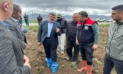Ali Özkaya: Zirai don konusunda çiftçilerimizin yanındayız