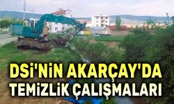 DSİ'nin Akarçay'da temizlik çalışmaları başladı