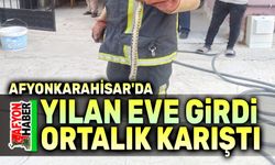 Afyon'da eve giren yılanı itfaiye ekipleri yakaladı