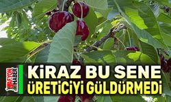 Kiraz bu sene üreticiyi güldürmedi