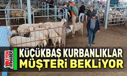 Afyon'da küçükbaş kurbanlıklar müşteri bekliyor