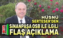 Hüsnü Serteser'den Sinanpaşa OSB hakkında flaş açıklama