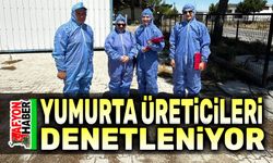 Başmakçı'da yumurta üreticileri denetleniyor