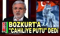 Mehmet Metiner'den Bozkurt açıklaması